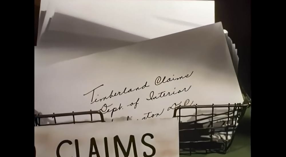 ザ・ビッグ・ツリーの画像