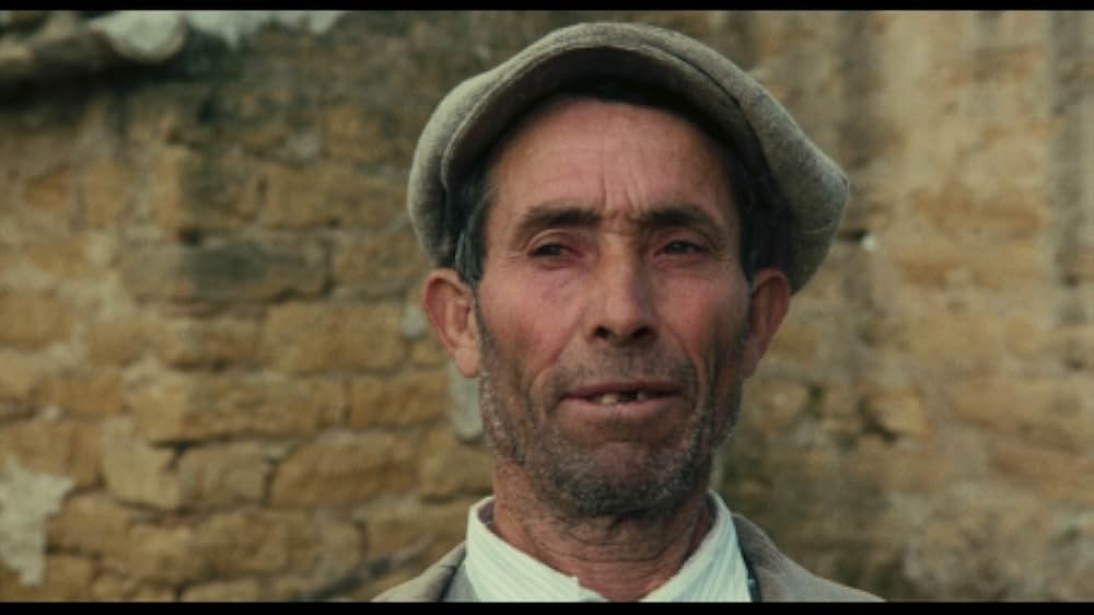 ローマに散るの画像