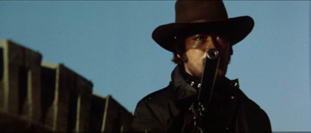 狼やくざ 殺しは俺がやるの画像