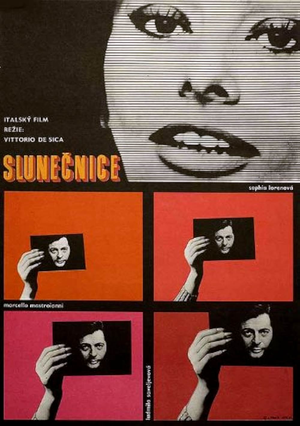 ひまわり デジタルリマスター版の画像