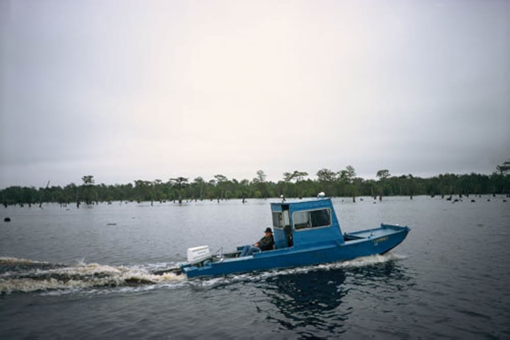 シュルツェ、ブルースへの旅立ちの画像