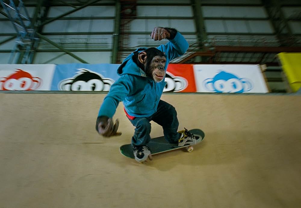 天才チンパンジー ジャック／スケートボードに挑戦の画像