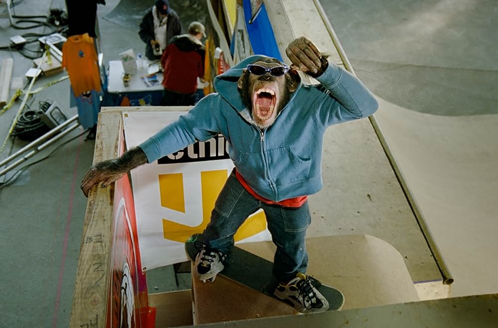 天才チンパンジー ジャック／スケートボードに挑戦の画像