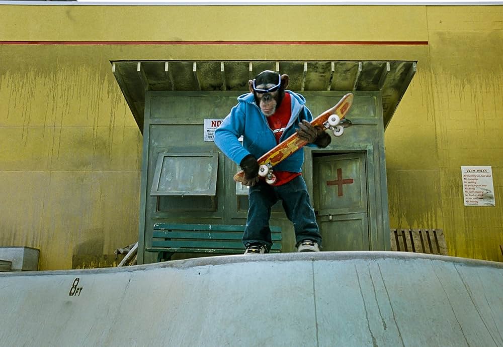 天才チンパンジー ジャック／スケートボードに挑戦の画像