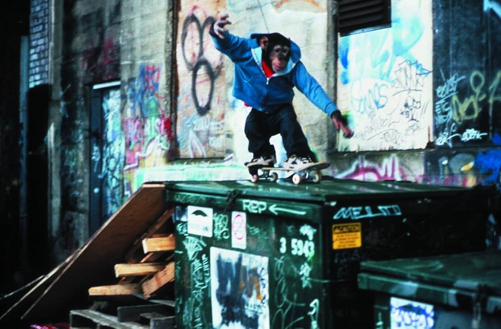 天才チンパンジー ジャック／スケートボードに挑戦の画像