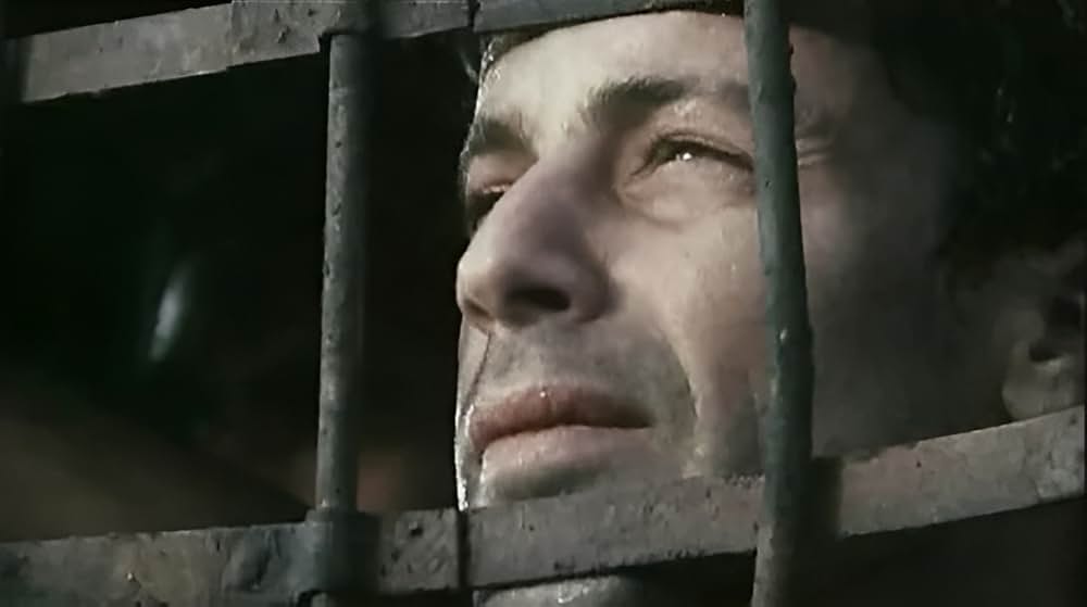 アウシュビッツ行 最終列車 ヒトラー第三帝国ホロコーストの画像