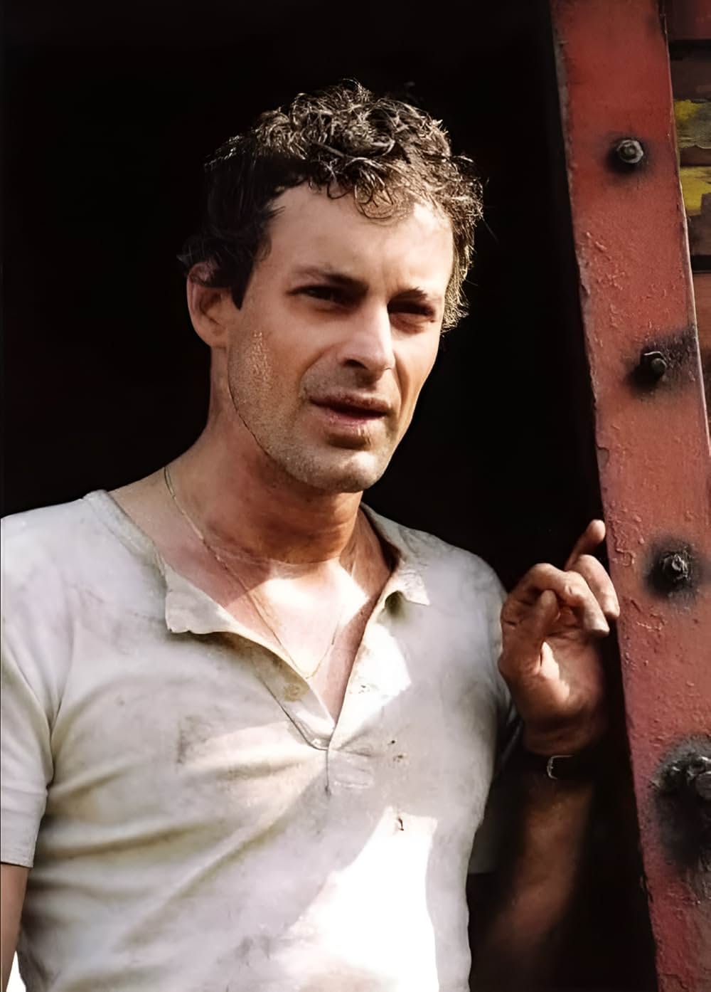 アウシュビッツ行 最終列車 ヒトラー第三帝国ホロコーストの画像