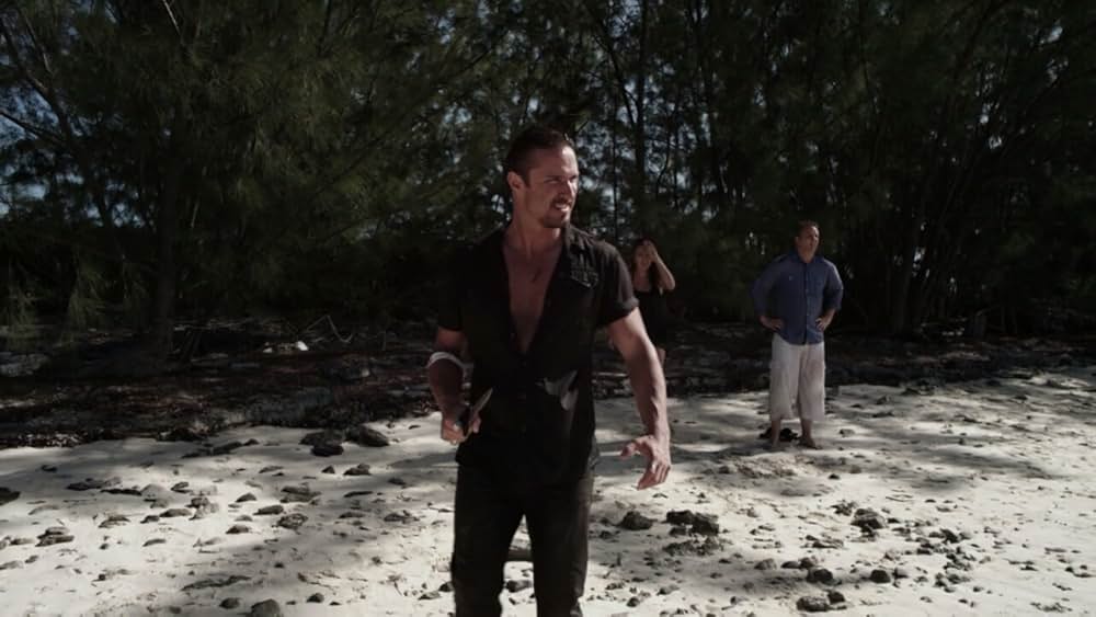 シャーク・ウィークの画像