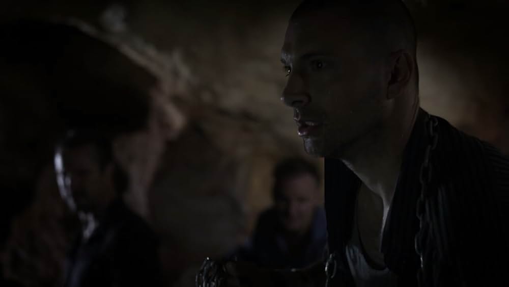 シャーク・ウィークの画像