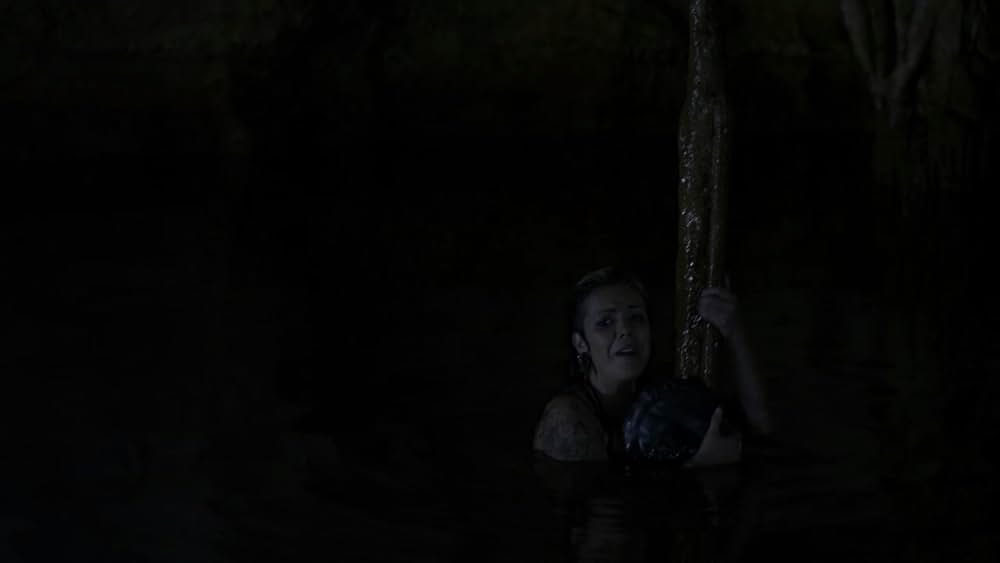 シャーク・ウィークの画像