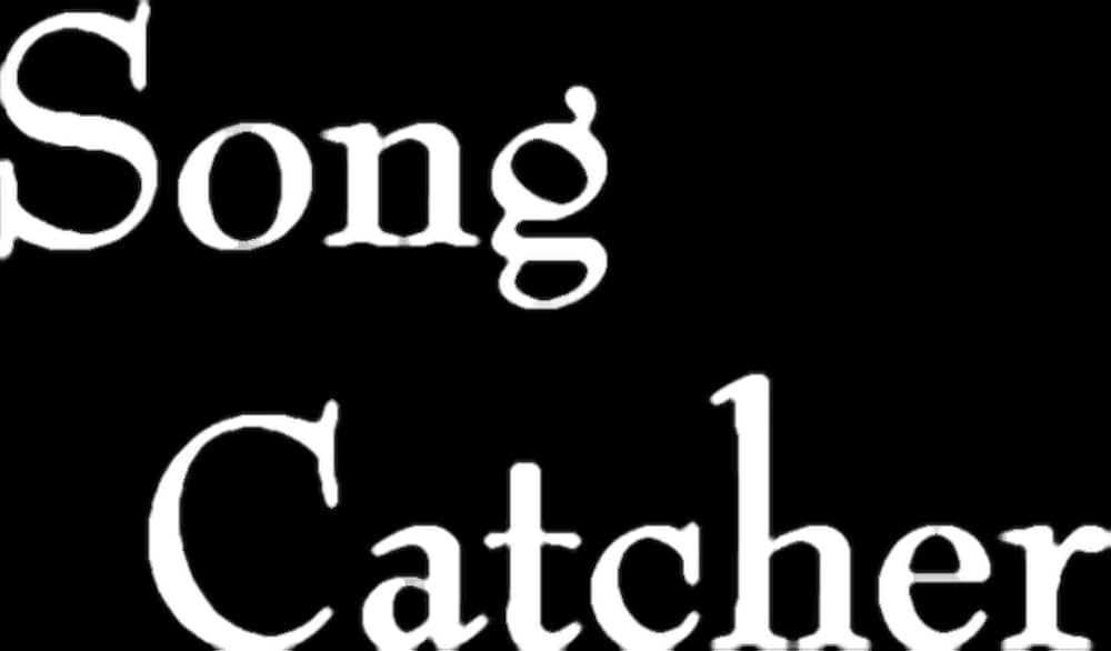 歌追い人の画像