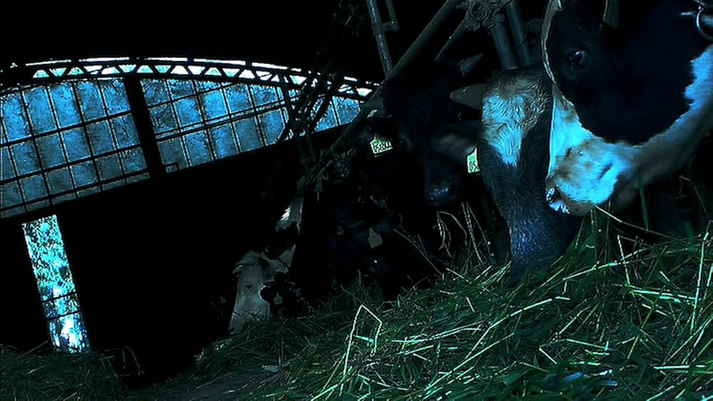 テーター・シティ 爆・殺・都・市の画像