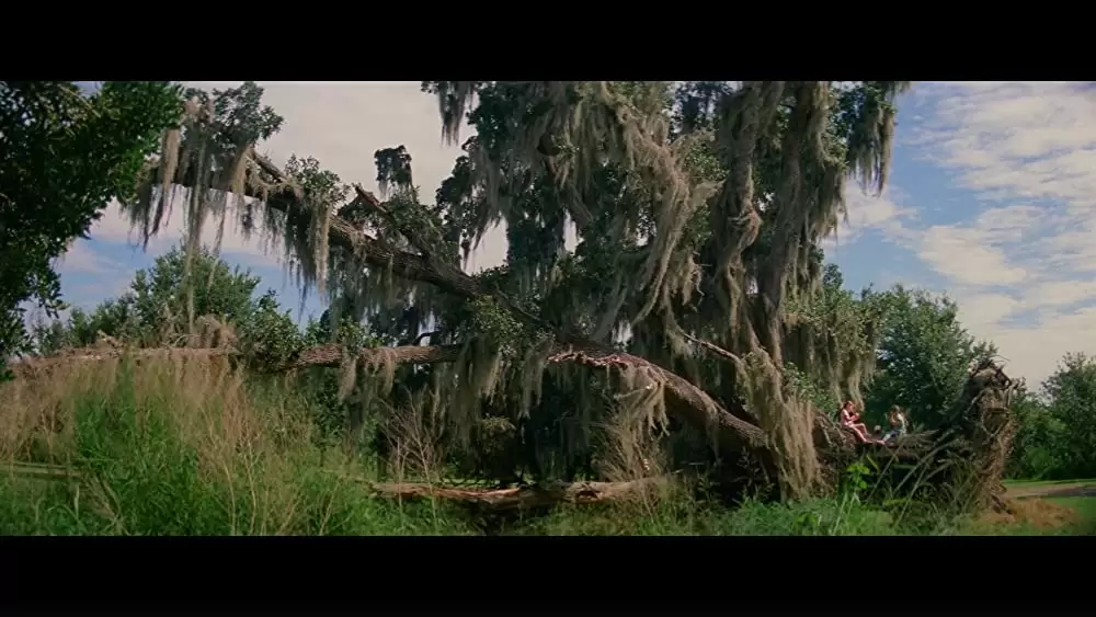 「フロリダ・プロジェクト 真夏の魔法」ブルックリン・プリンス & Valeria Cottoの画像