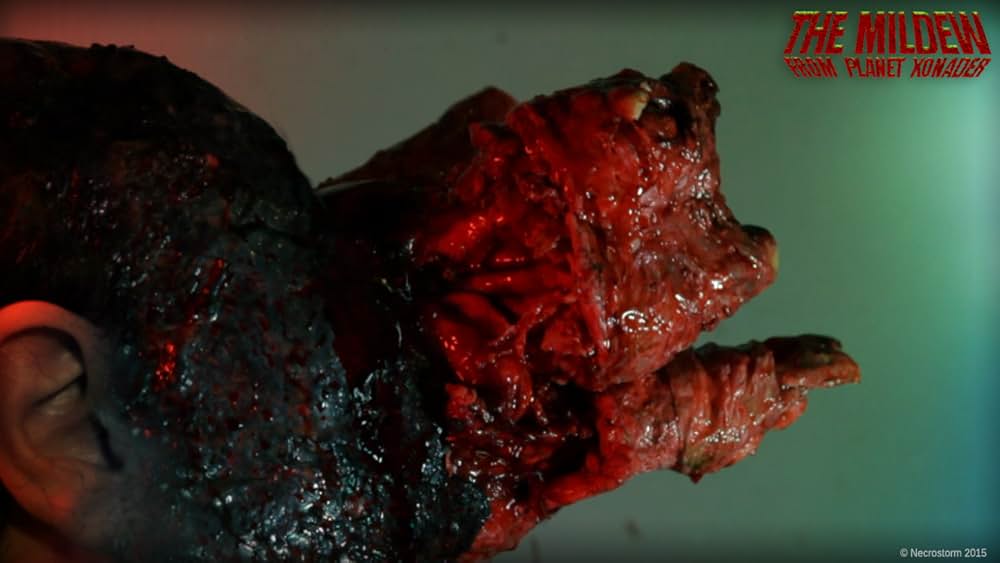 ゾネイダー 地球感染計画の画像