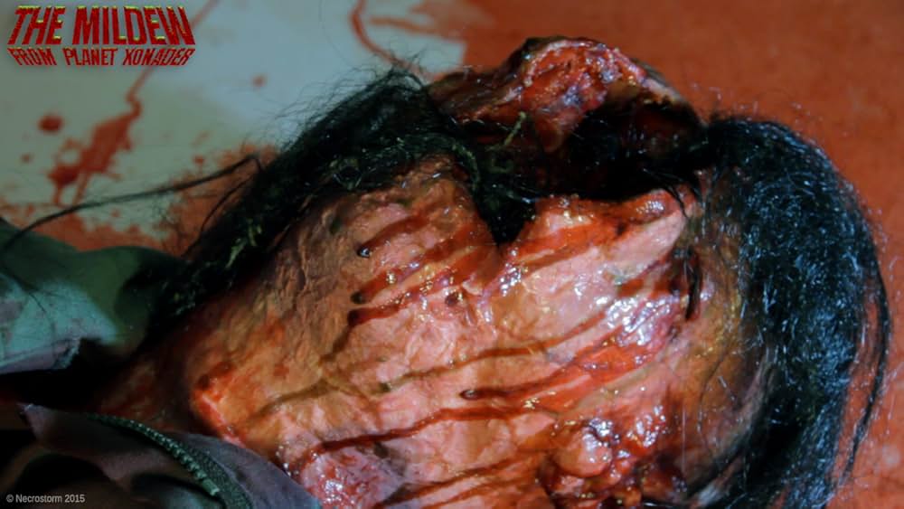 ゾネイダー 地球感染計画の画像