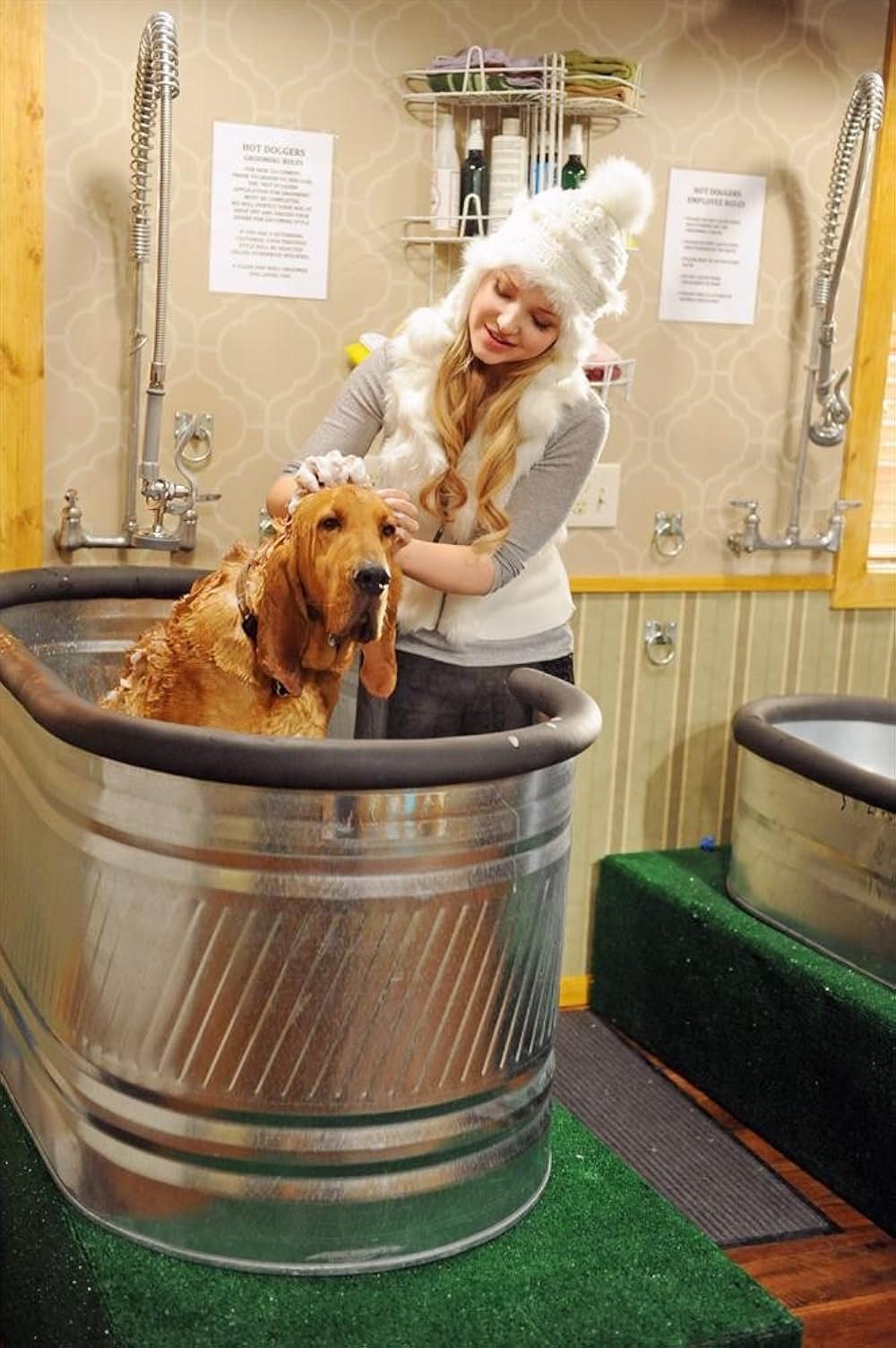 クラウド9の画像