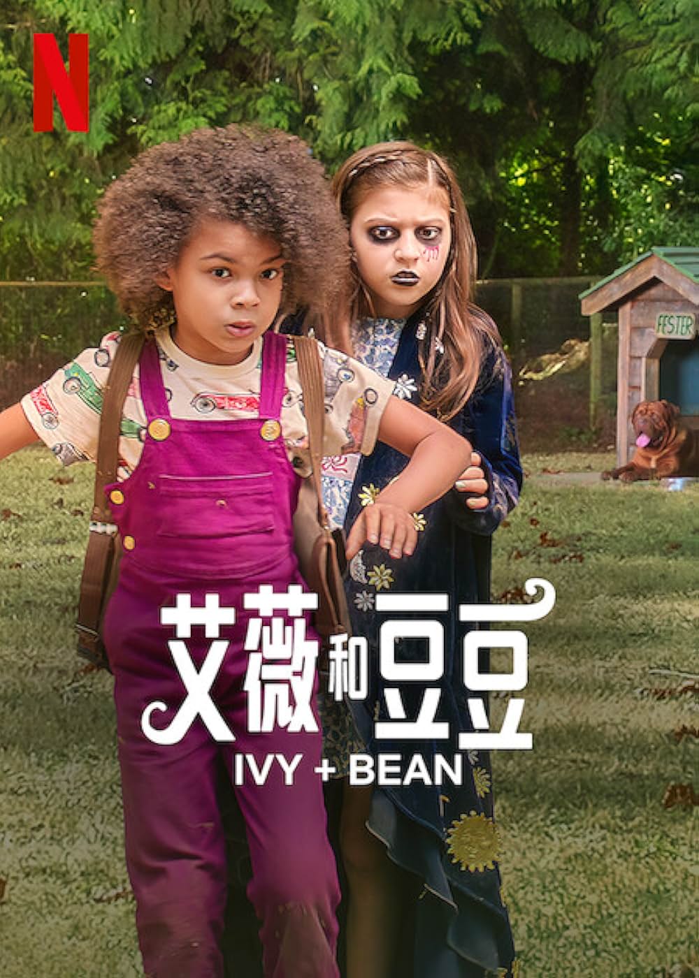 アイビー+ビーンの画像