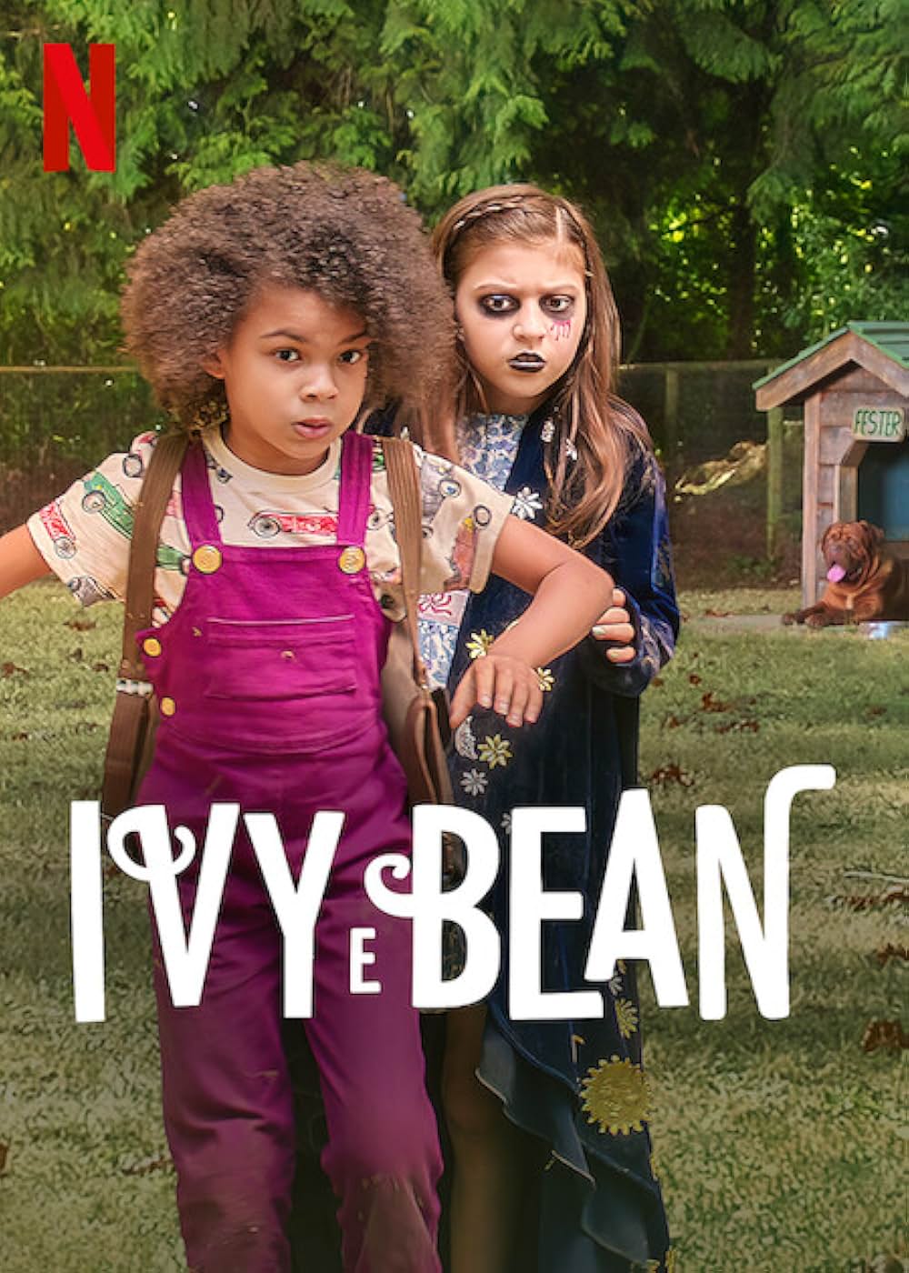 アイビー+ビーンの画像