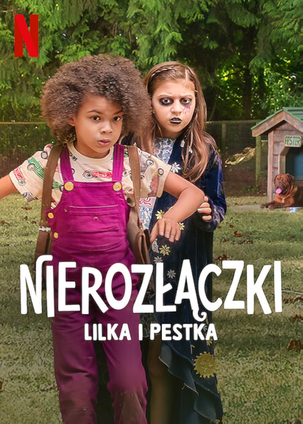 アイビー+ビーンの画像