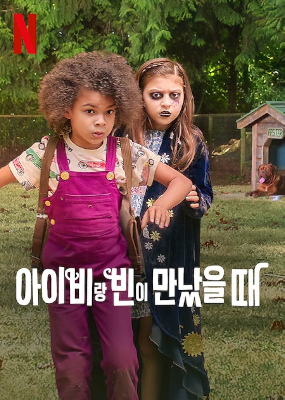 アイビー+ビーンの画像