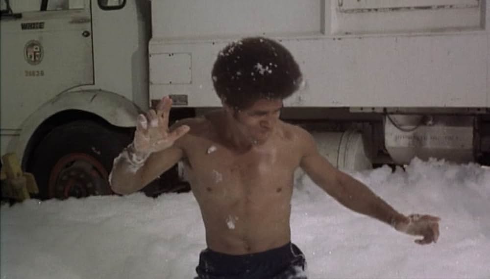 黒帯ドラゴンの画像