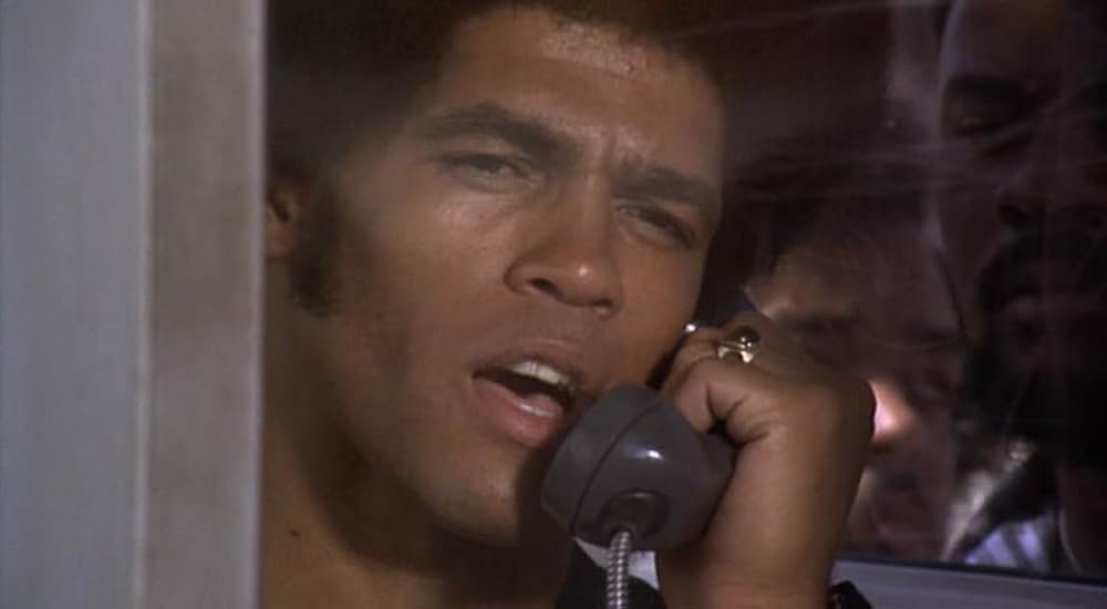 黒帯ドラゴンの画像