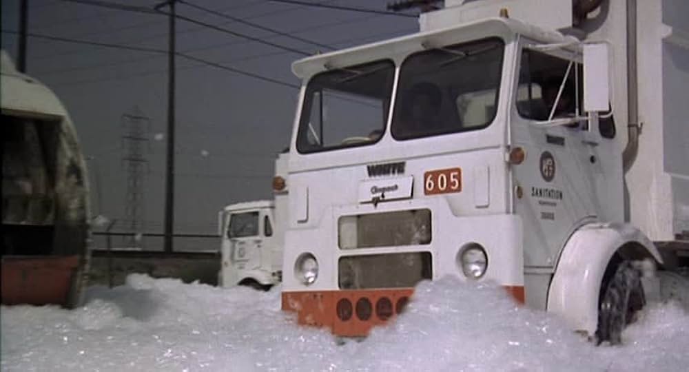 黒帯ドラゴンの画像