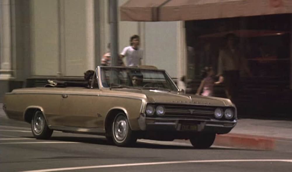 黒帯ドラゴンの画像