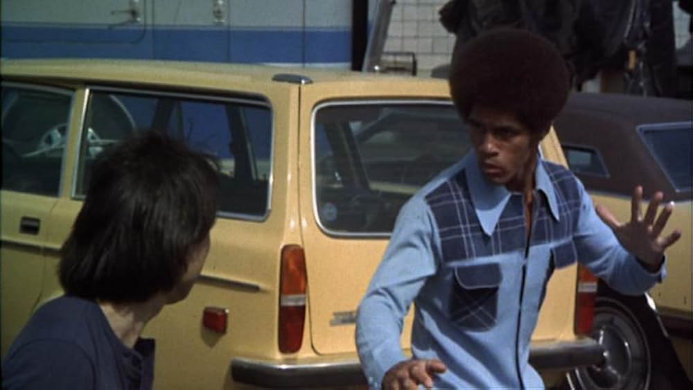 黒帯ドラゴンの画像