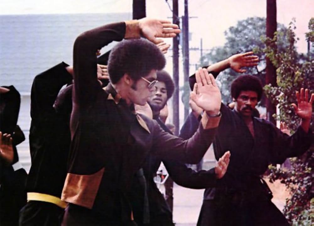 黒帯ドラゴンの画像