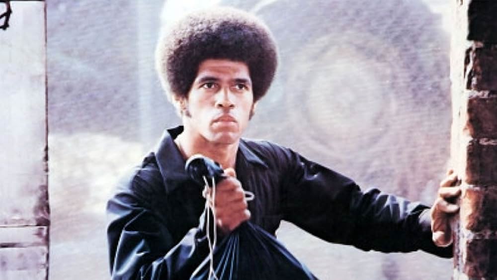 黒帯ドラゴンの画像