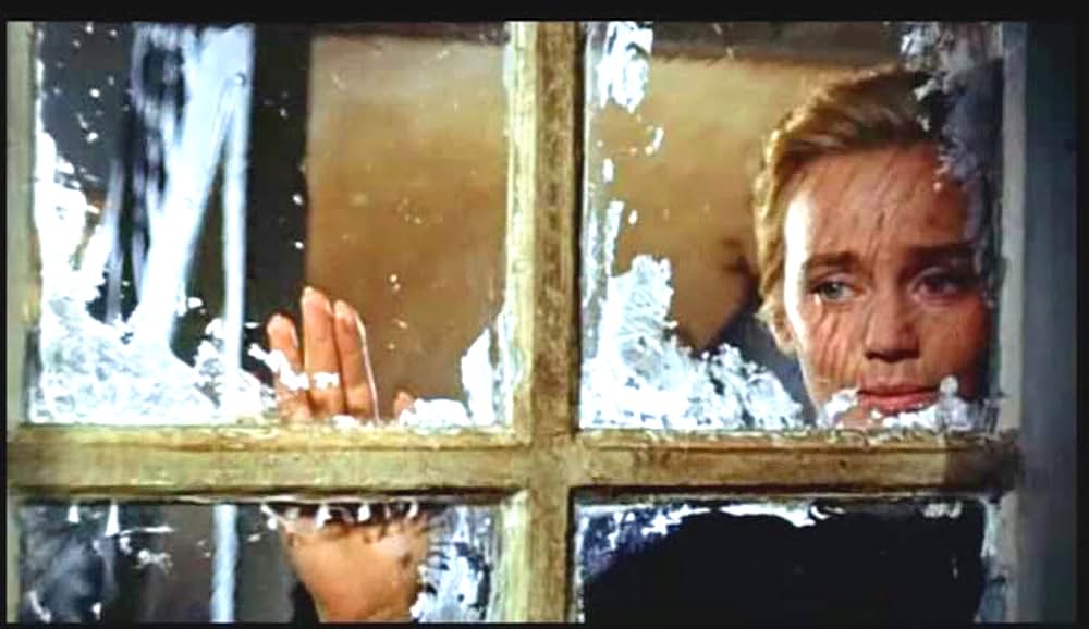 女の一生の画像