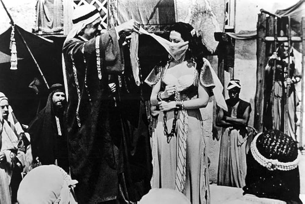 砂漠の鷹の画像