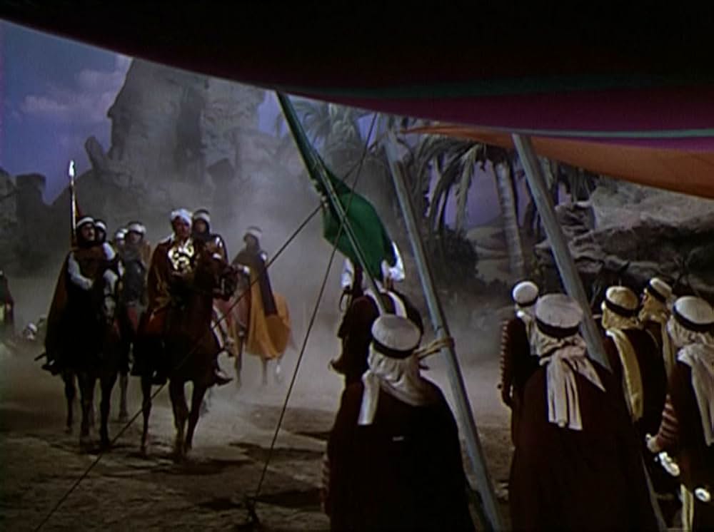 砂漠の鷹の画像