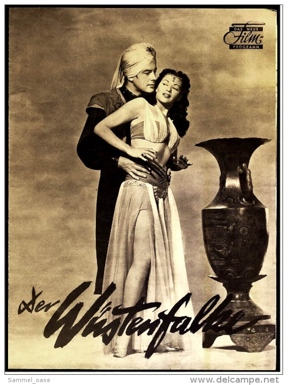 砂漠の鷹の画像