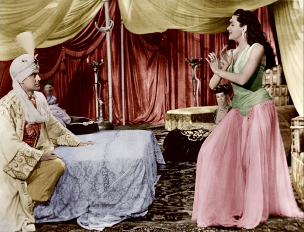 砂漠の鷹の画像