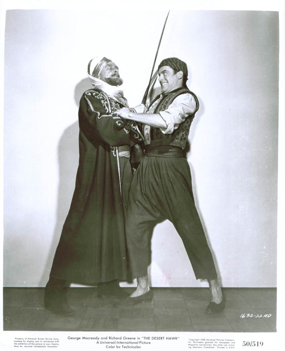 砂漠の鷹の画像