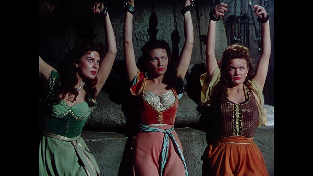 砂漠の鷹の画像