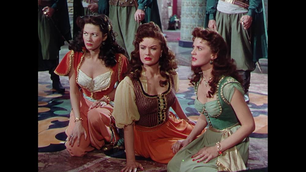 砂漠の鷹の画像