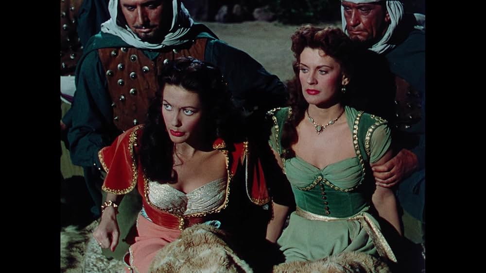 砂漠の鷹の画像