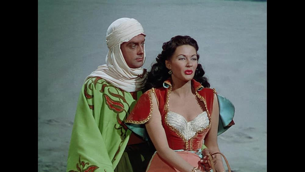 砂漠の鷹の画像