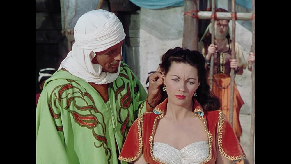 砂漠の鷹の画像