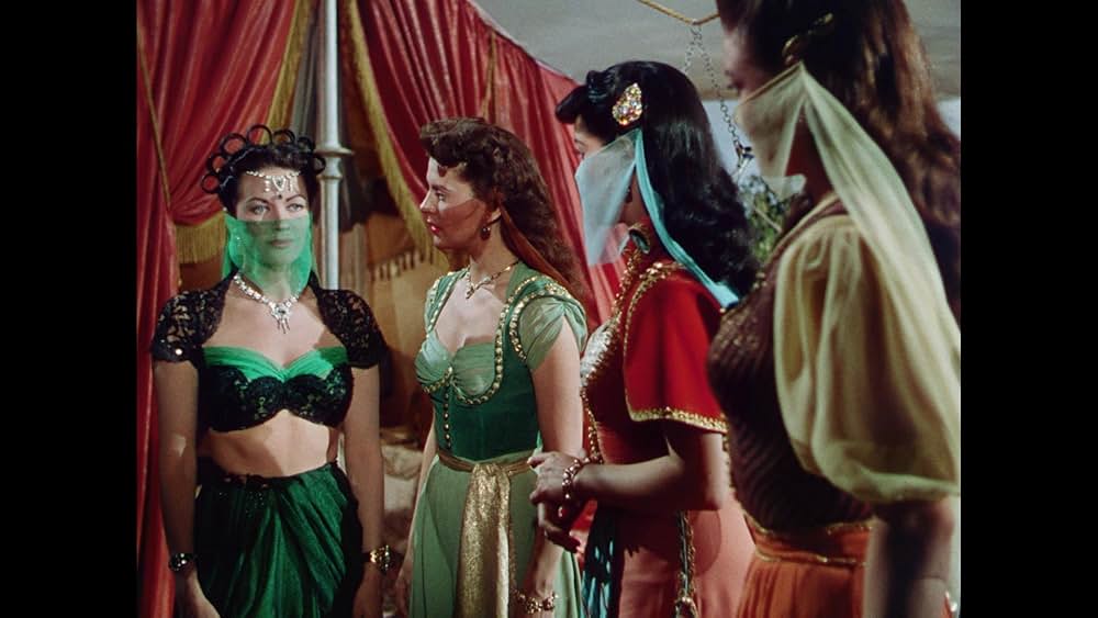 砂漠の鷹の画像