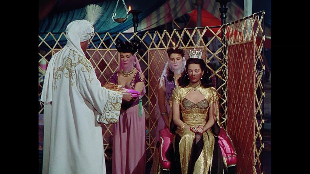 砂漠の鷹の画像