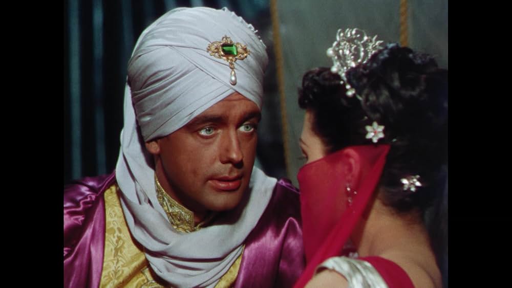 砂漠の鷹の画像