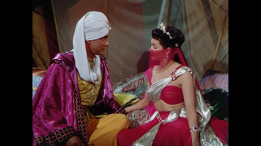 砂漠の鷹の画像