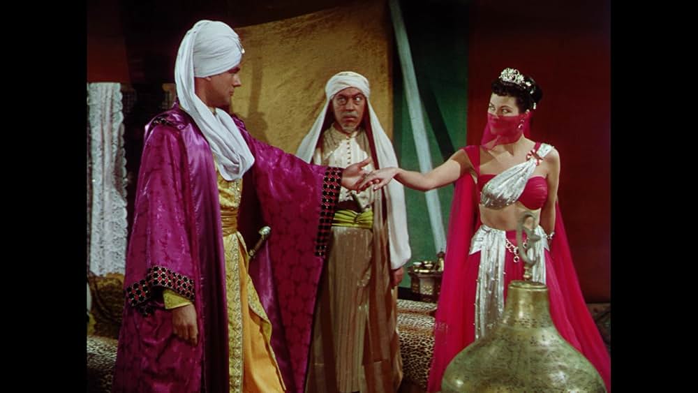 砂漠の鷹の画像