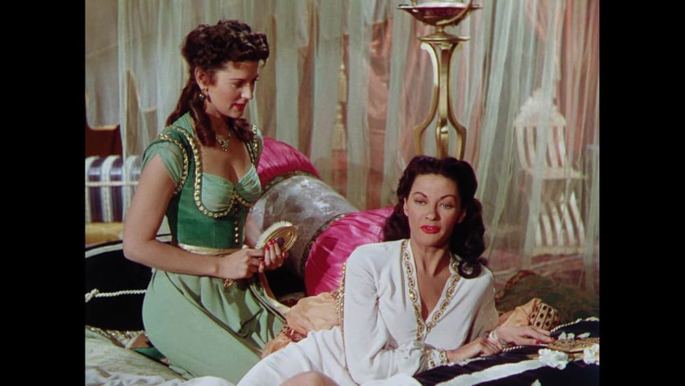 砂漠の鷹の画像