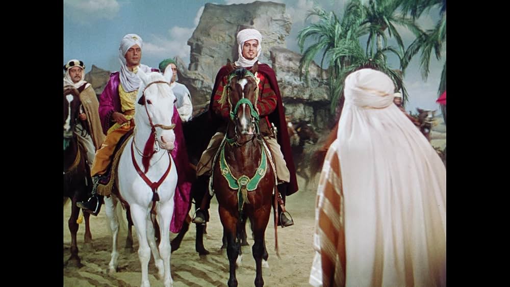 砂漠の鷹の画像