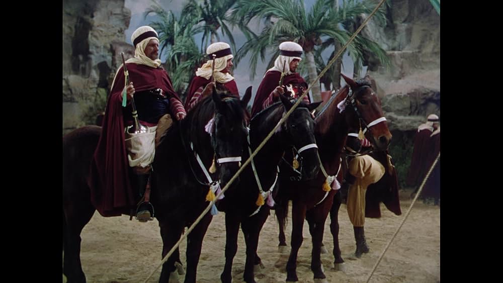 砂漠の鷹の画像